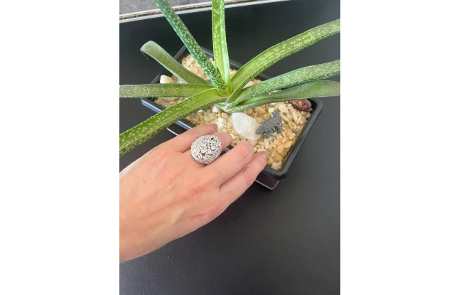 Anel Redondo Cravejado de Zircônia e Microzircônias Folheado Em Ródio Branco Nr16/17